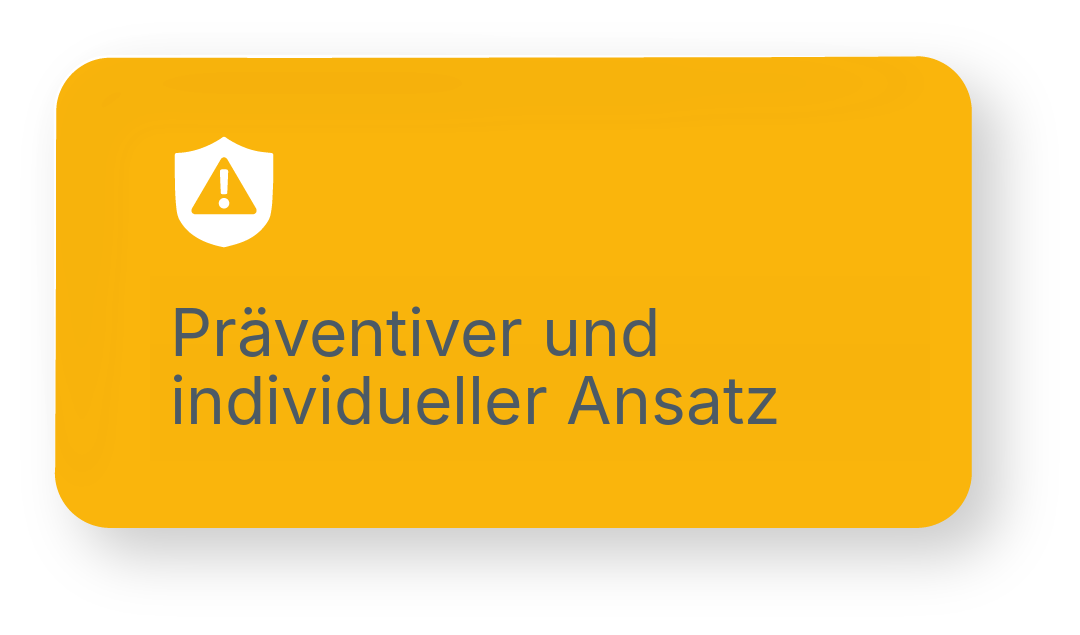 13-enfoque-preventivo